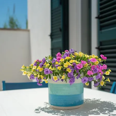 Apartmán Blu - Terrazza & Idromassaggio By Diddoi Marina di Mancaversa